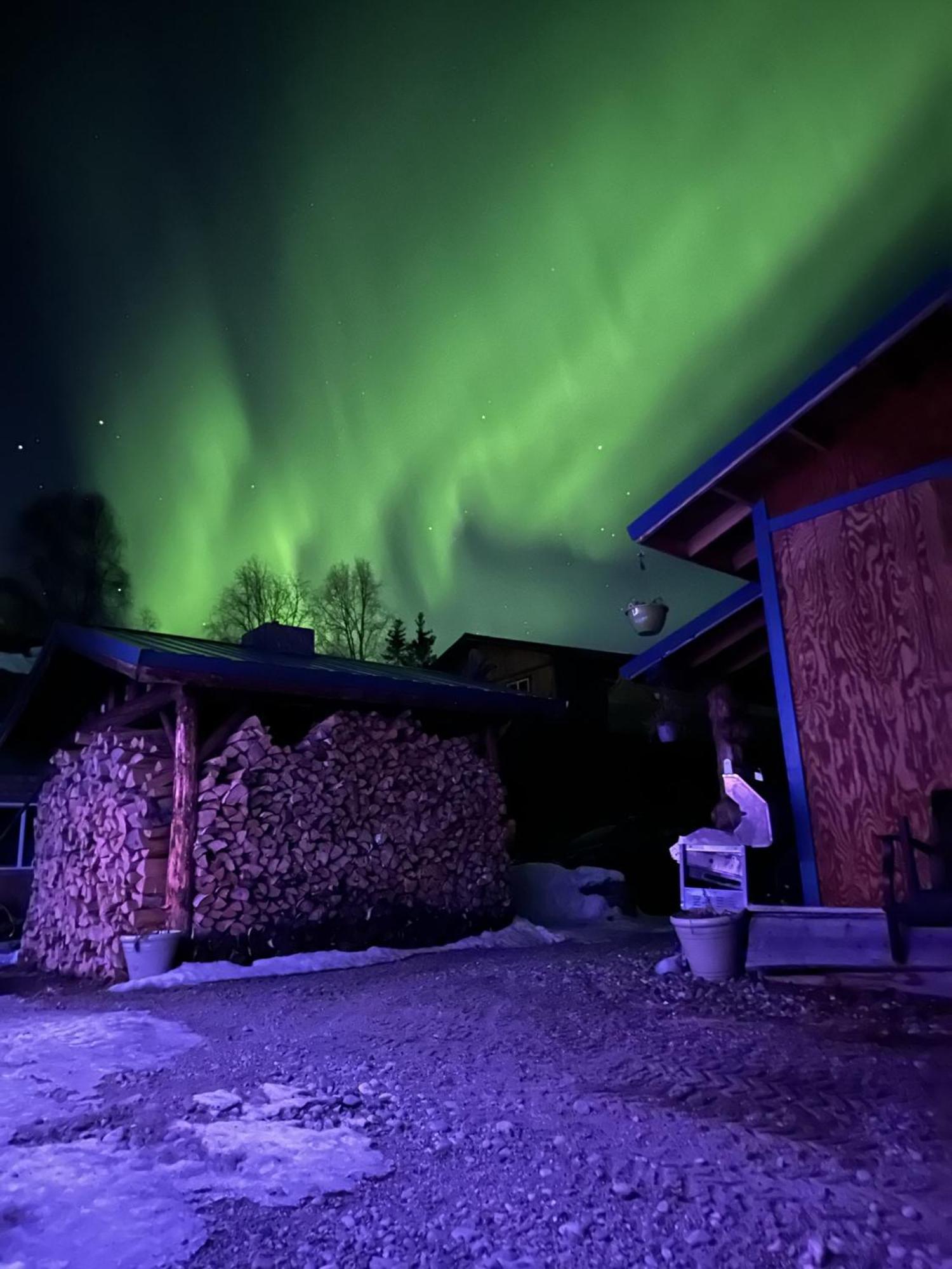 Talkeetna Villas And Tours المظهر الخارجي الصورة